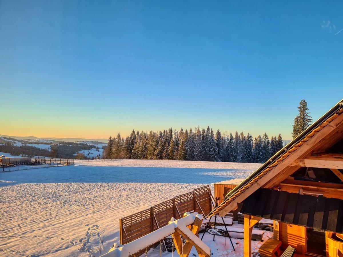 Domek W Zebie Z Jacuzii I Sauna W Cenie Zab Exterior foto